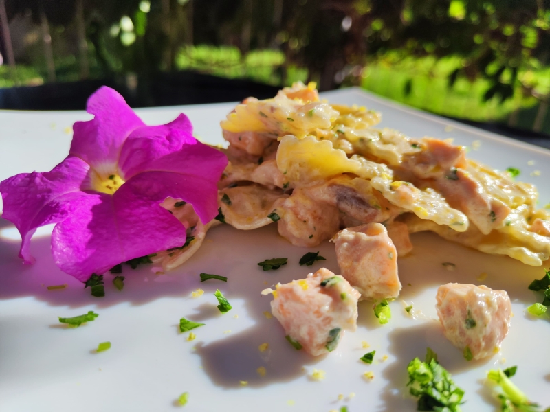 farfalle salmone